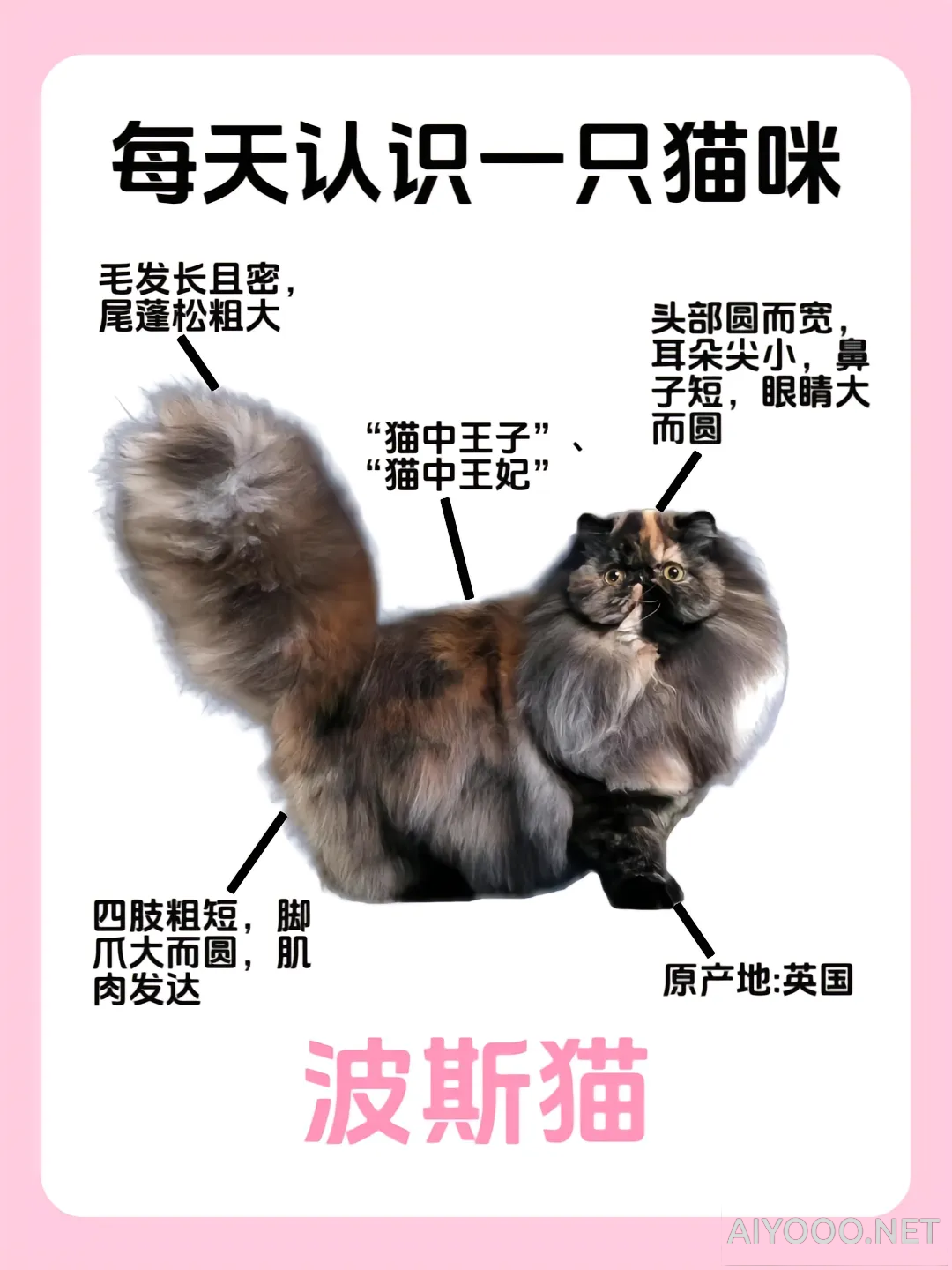 Image-17-13-12.png