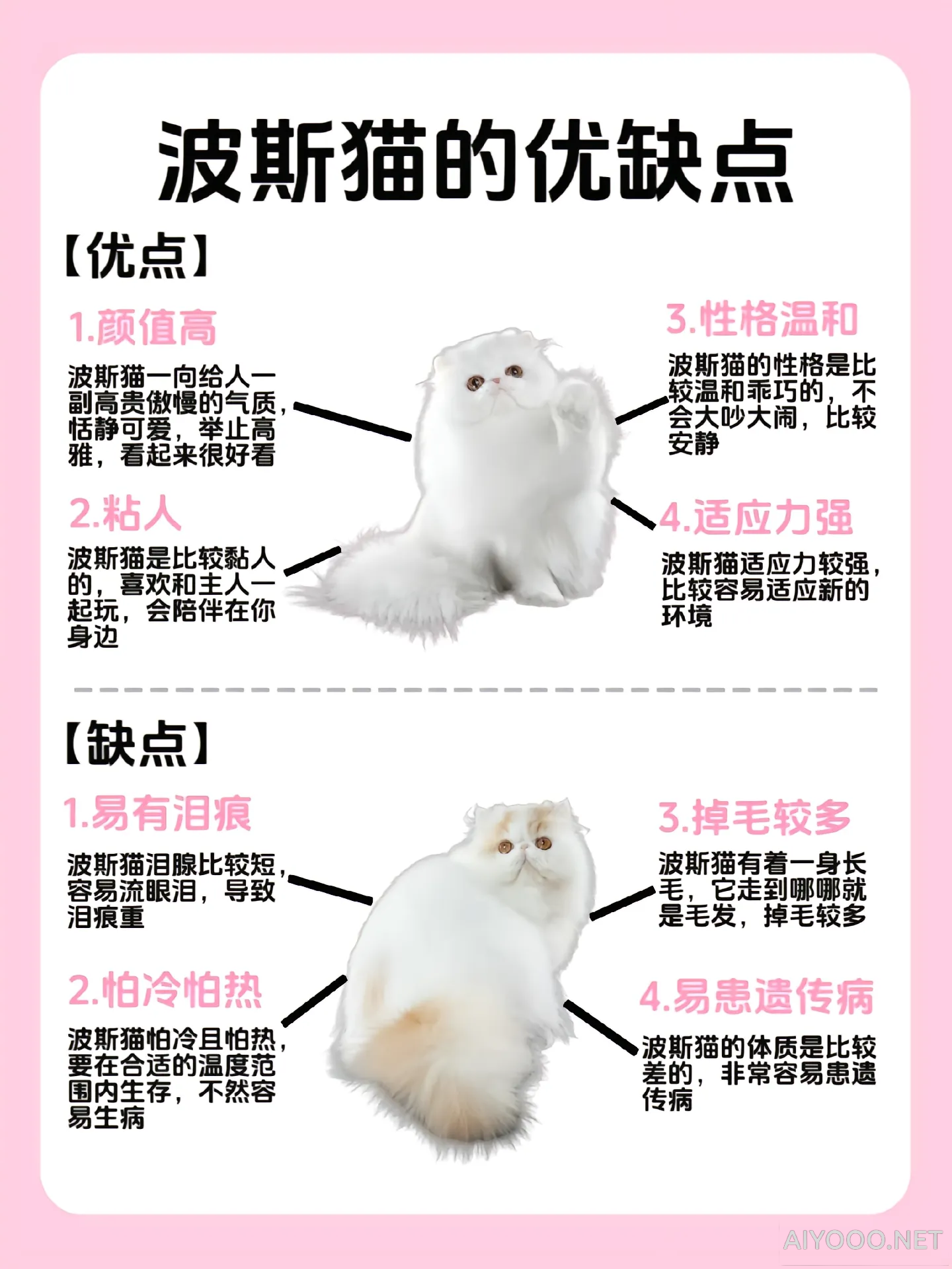 Image-17-13-14.png