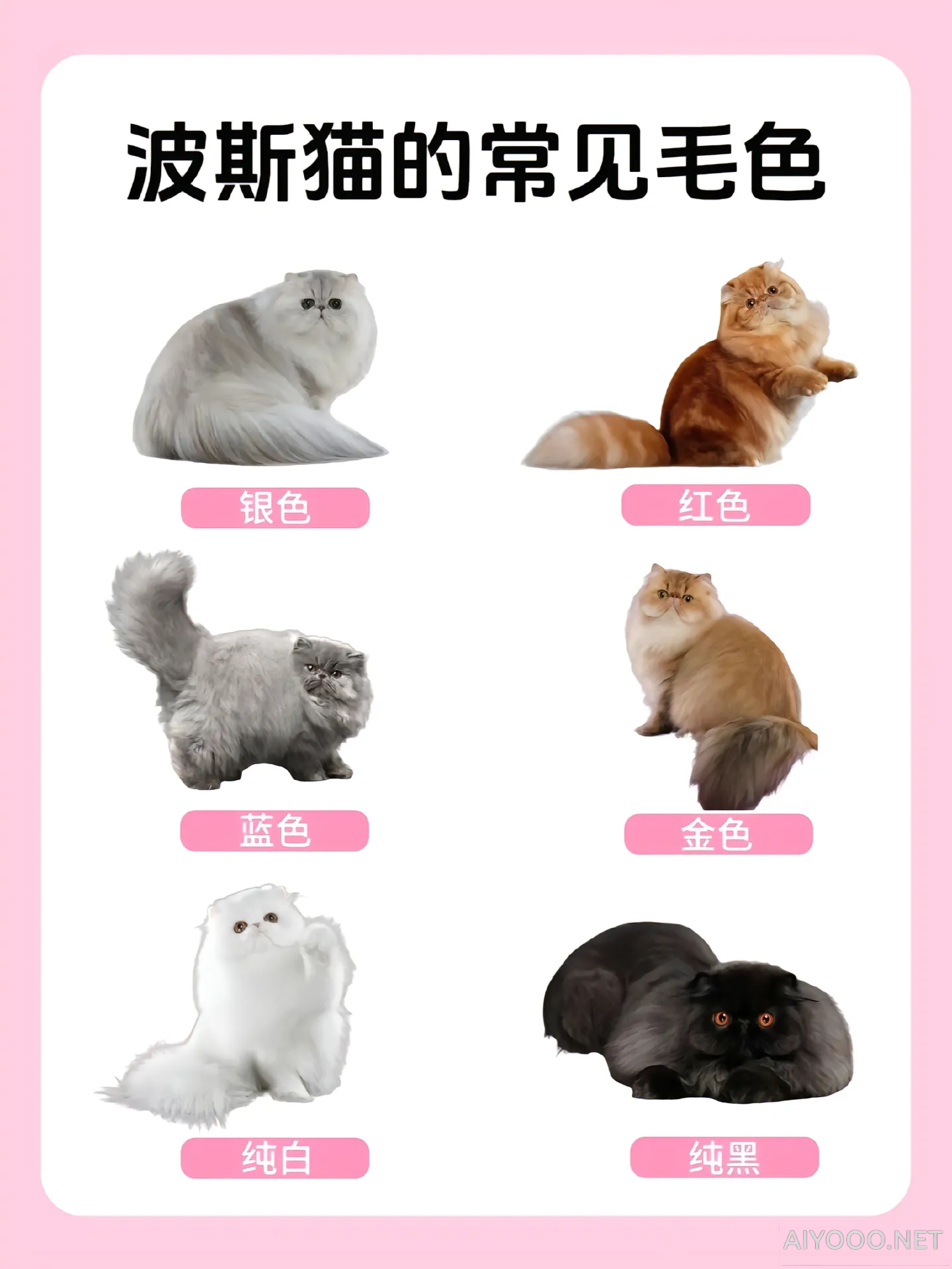Image-17-13-15.png