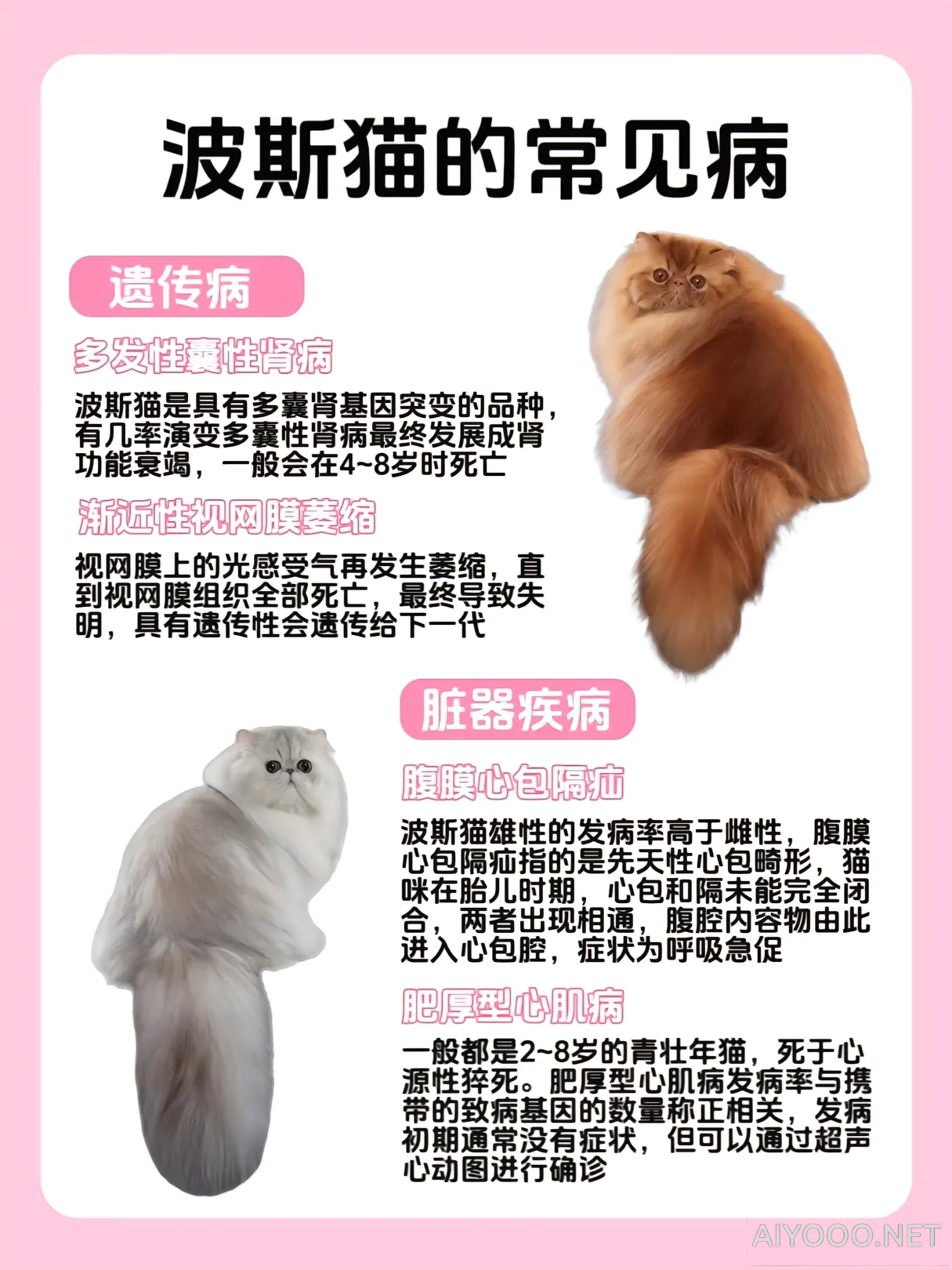 Image-17-13-16.png