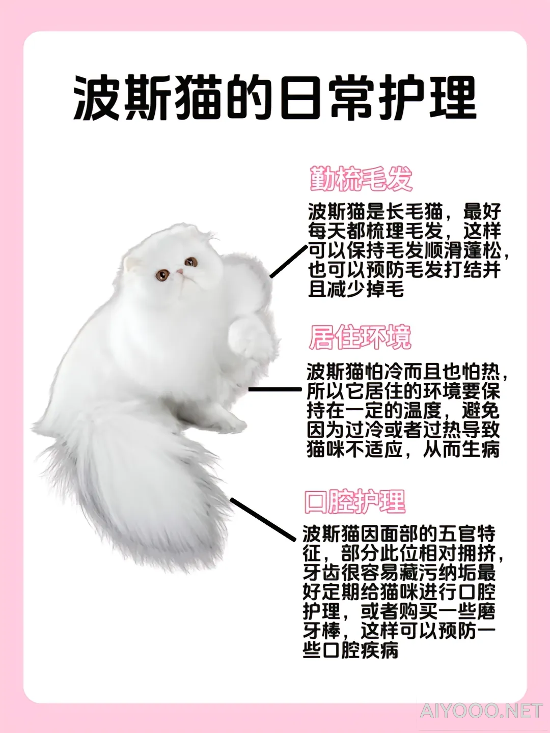 Image-17-13-18.png