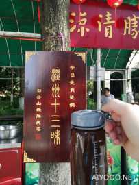 温州伏茶